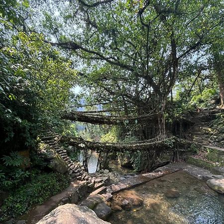 Odyssey Stays Nongriat - 3Kms Trek From Main Road Cherrapunji Bagian luar foto