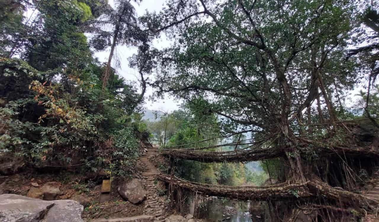 Odyssey Stays Nongriat - 3Kms Trek From Main Road Cherrapunji Bagian luar foto