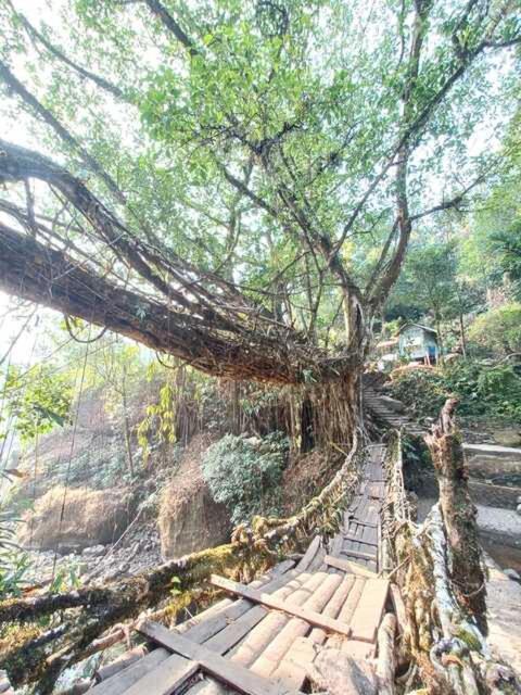 Odyssey Stays Nongriat - 3Kms Trek From Main Road Cherrapunji Bagian luar foto